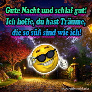 ᐅ 100+ Lustig Schönen Abend und Gute Nacht Bilder Kostenlos