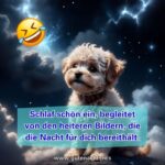 Gute Nacht Lustig Bilder & Grüße, Sprüche, Zitate