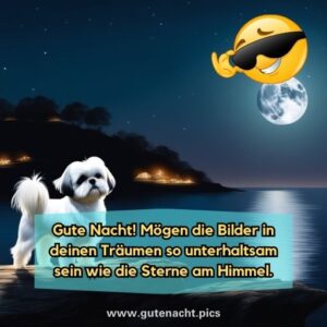 Gute Nacht Lustig Bilder & Grüße, Sprüche, Zitate