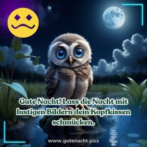 Gute Nacht Lustig Bilder & Grüße, Sprüche, Zitate