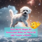 Gute Nacht Lustig Bilder & Grüße, Sprüche, Zitate