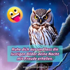 Gute Nacht Lustig Bilder & Grüße, Sprüche, Zitate