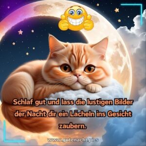 Gute Nacht Lustig Bilder & Grüße, Sprüche, Zitate