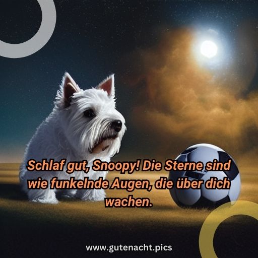 deutsch gute nacht snoopy